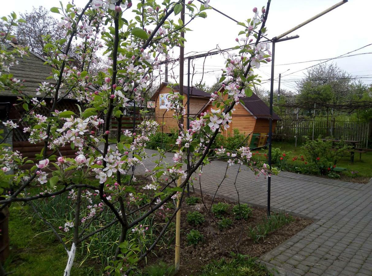 "У Пасічника" Котедж Для Сім'Ї Yaremche Exterior foto